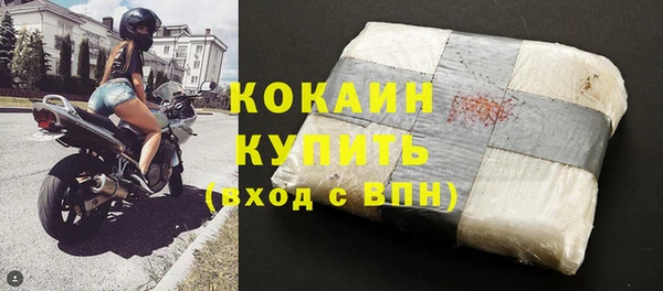 гидра Аркадак