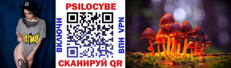 Псилоцибиновые грибы GOLDEN TEACHER Терек